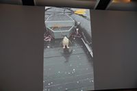 
DSC00095